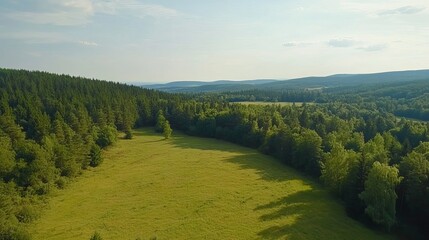 Serene summer meadow landscape with lush green forest and distant hills sky sun day eco view calm
