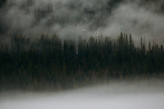 Dark pine forest fades into fog near &Aring;resj&ouml;n&rsquo;s wooded slopes