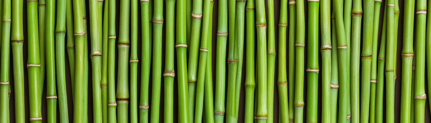 Fototapeta premium repeating pattern of vertical bamboo stems creates vibrant and natural backdrop, showcasing beauty of greenery