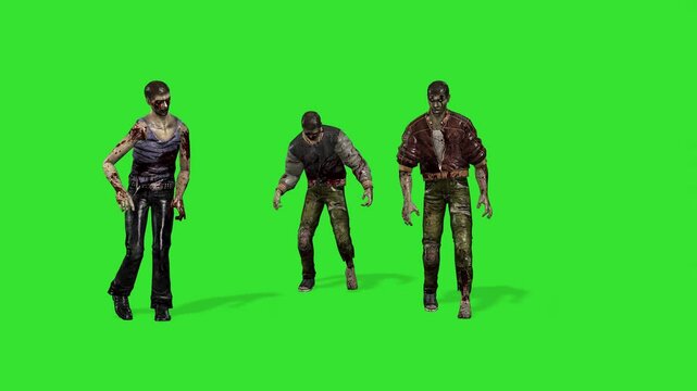 Front view walking of group of zombie green screen or chroma key video clip motion