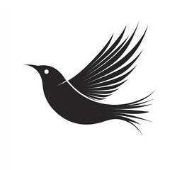 Obraz premium Soaring Bird