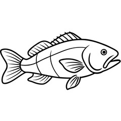 fish on a white background