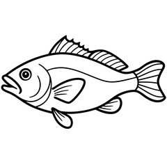 fish on a white background