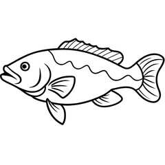 fish on a white background
