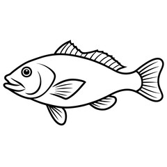 fish on a white background