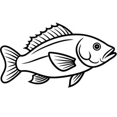 fish on a white background