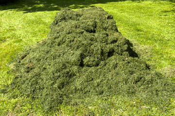Heap of grass on a freshly mown meadow in spring in the park