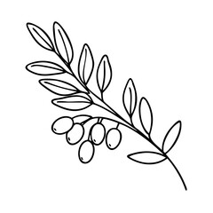 olive branch icon, olive branch line art - simple line art of olive branch, perfect for olive branch logos and icons