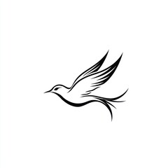 Fototapeta premium Soaring Bird