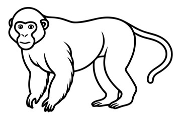 Elegant Proboscis Monkey Line Art