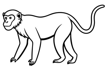 Elegant Proboscis Monkey Line Art