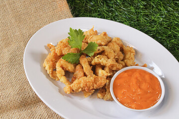A plate of crispy snacks with cheese sauce. restaurant snack dish with cheese sauce