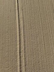Top-down view of smooth, sunlit sand featuring a central track mark and several fine parallel lines, likely from dragging or wind patterns on a beach.