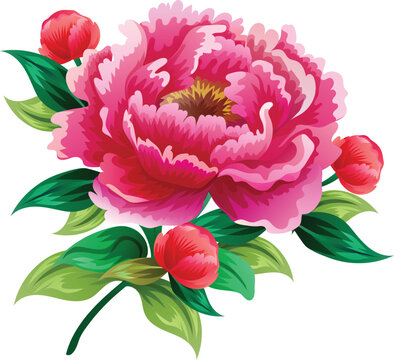 peony pink flower blossom icon