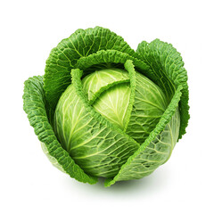 Obraz premium Fresh cabbage vegetable element design