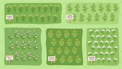 Sustainable and regenerative farming concept banner. Gardening nature background. Fields with different types of cover crops. Top view. Vector hand drawn flat template.