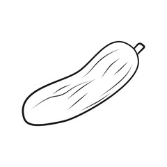 Hand-drawn vegetables