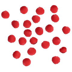 red rose petals on white background