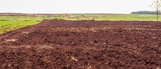 agicultural soil, cultivated area, healthy soil