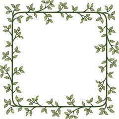 Square border with a branch of green leaves. Illustration made with leaves on a white background creating a square border.