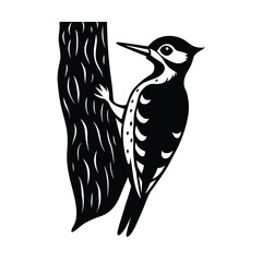 woodpecker on tree bark