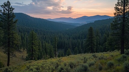Serene sunset view over majestic mountain range and lush evergreen forest landscape sky fir calm blue