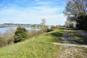 cycle route along river Rhone from Avignon to Roquemarke,France