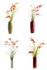 Vase Crocosmia Sedges White Background