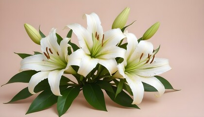 Fototapeta premium Exquisite bouquet of white lilies blooming in a soft, elegant composition, perfect for any occasion.