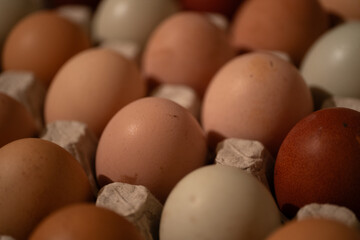 Close-up view of a carton filled with eggs in various natural shades, including brown, white, and green. The diverse hues highlight the beauty of farm-fresh, organic eggs.