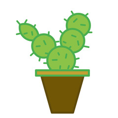 cactus in a pot