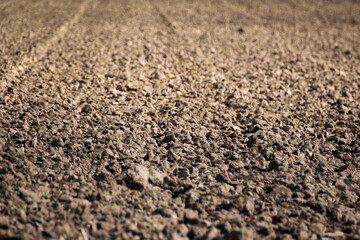 soil texture and pattern in a plowed field detail of rich brown soil in a cultivated field. Agriculture concept background