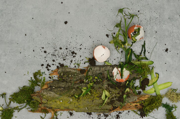 Food scraps, peelings, moss and other compost items arranged into an abstract mess. Top view eco...