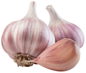 Garlic png. Garlic bulb with clove on white or transparent background. Perfect retouched garlic no background. Transparent png composition. Full depth of field.