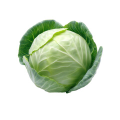 Obraz premium Fresh green cabbage isolated on transparent background