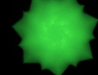 Imaginatory fractal abstract background Image