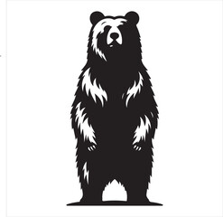 bear standing silhouette, vector, black color silhouette 