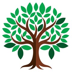 Obraz premium tree with leaves