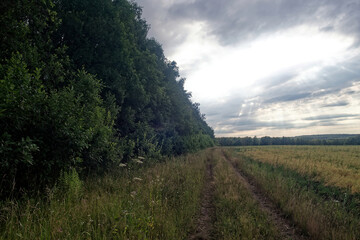 Dirt road in the countryside on a cloudy day