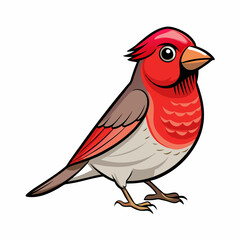 bird on a branch