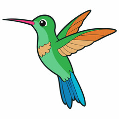 hummingbird in flight