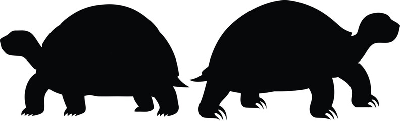 Black silhouettes of two turtles in side view with simplified shapes and clean lines on white background – minimalist reptile vector art, symmetrical wildlife illustration 4K