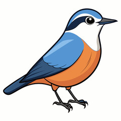 blue bird isolated on white background
