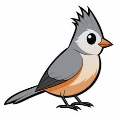 bird on a white background