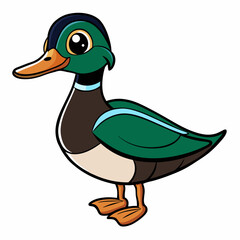 duck on a white background