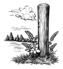 Wood Post Engraving Surrounded by Plants in Nature Setting