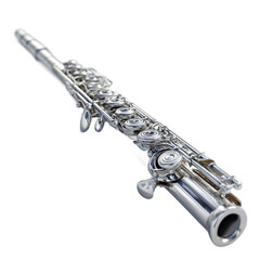 Fototapeta premium Gleaming metal flute against darkness