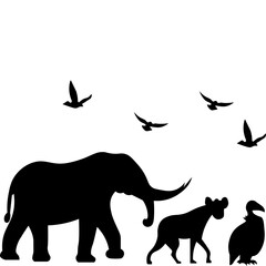  Wildlife Animal Silhouette
