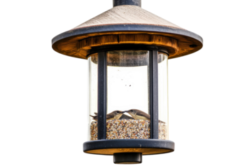 Two birds feeding from elegant glass bird feeder with wooden roof enjoying nature s bounty