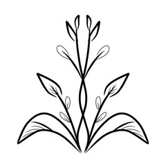leaf line art,vector illustration of a plant,leaf icon